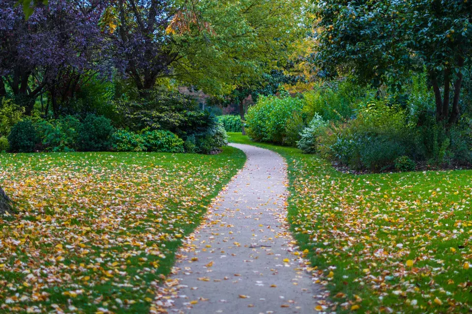 towing service Braddock